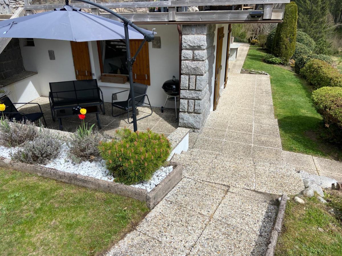 Appartement De Montagne Au Chalet De Snow Xonrupt-Longemer Zewnętrze zdjęcie