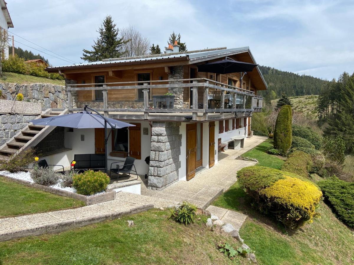 Appartement De Montagne Au Chalet De Snow Xonrupt-Longemer Zewnętrze zdjęcie